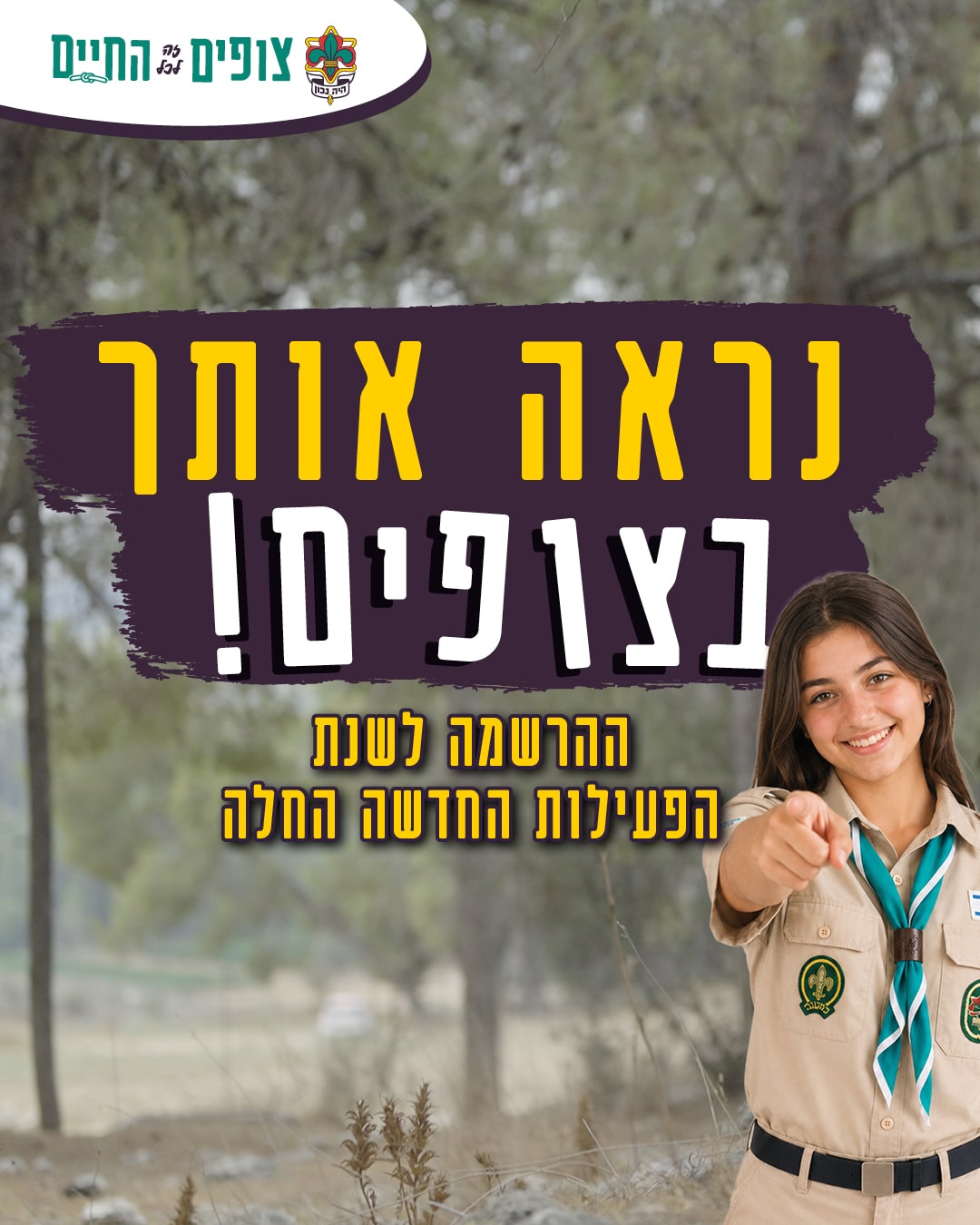 רשתות כללי